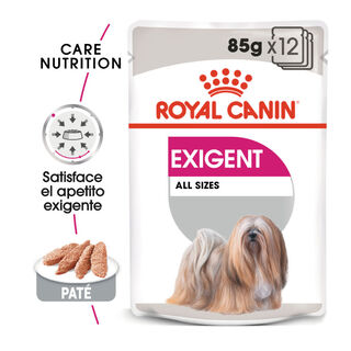 Royal Canin Exigent paté sobre para perros